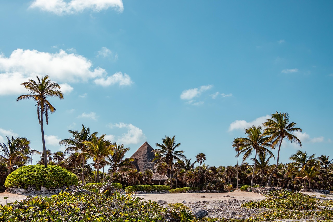 Naturaleza en Akumal