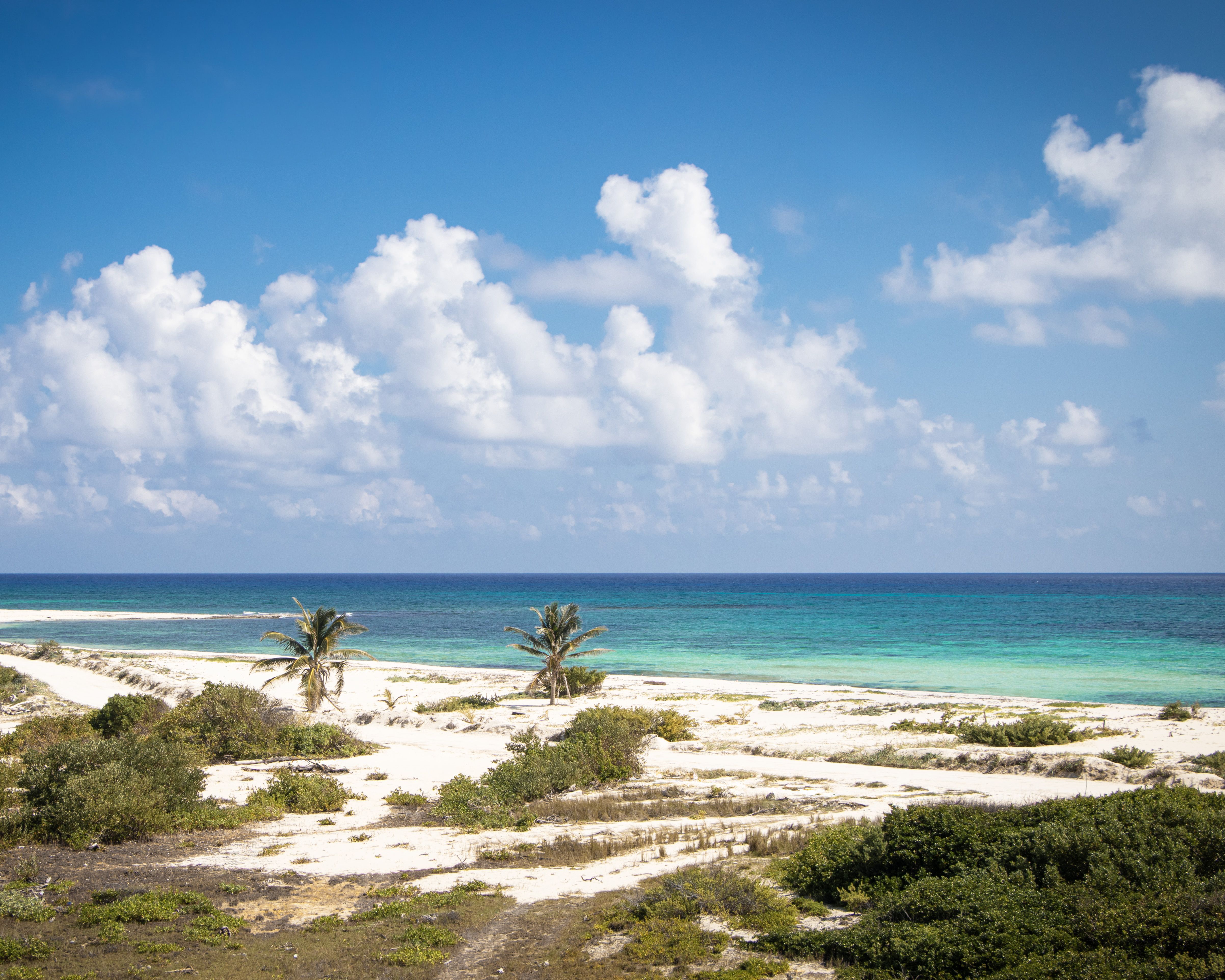 Playas tranquilas de Cozumel
