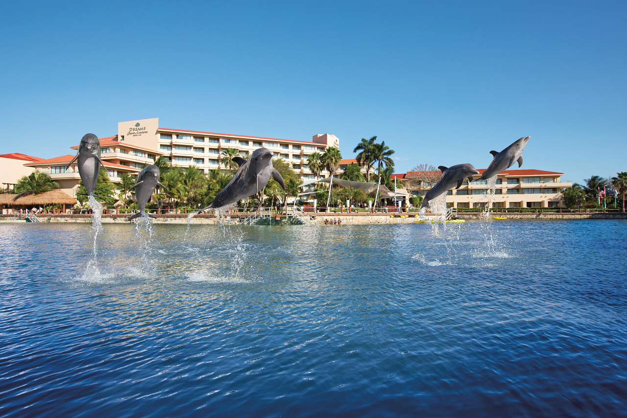 Experiencia con delfines en Dreams Aventuras